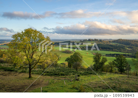 Eifel, Rhineland-Palatinate, Germany Eifel, Rhineland-Palatinate, Germany 109539943