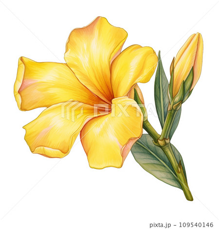 yellow flowers with green leaves yellow flowers with green leaves 109540146