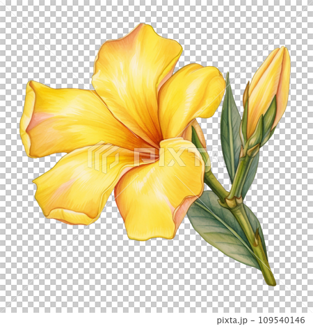 yellow flowers with green leaves yellow flowers with green leaves 109540146