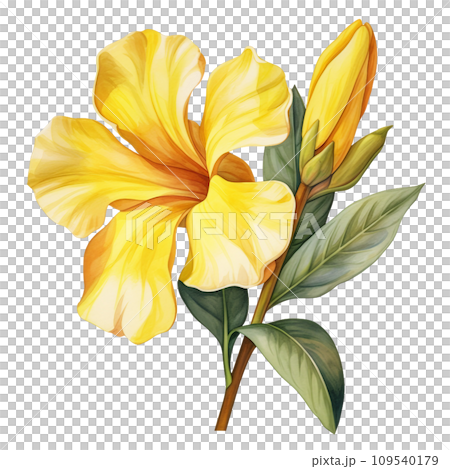 flowers in the pot 109540179