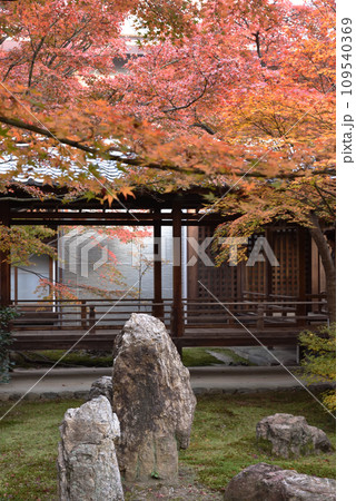 建仁寺 潮音庭 秋 建仁寺 潮音庭 秋 109540369