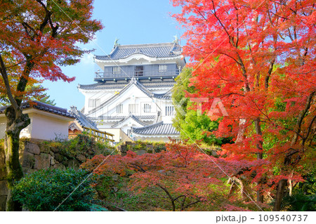 秋の岡崎城天守 秋の岡崎城天守 109540737