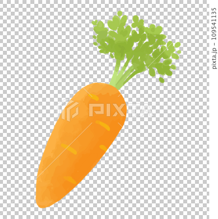 にんじんの手描き風イラスト 109541135