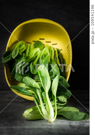 Vegetable greens on black background plate 109541196
