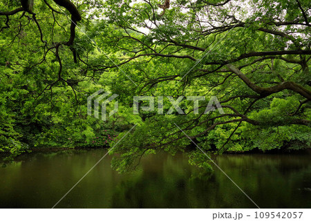 栗林公園 栗林公園 109542057