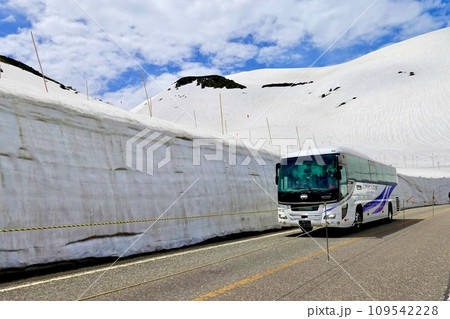 立山・雪の大谷 雪壁に沿って立山高原バスが走る風景 富山県新川郡立山町芦峅寺 立山・雪の大谷 雪壁に沿って立山高原バスが走る風景 富山県新川郡立山町芦峅寺 109542228