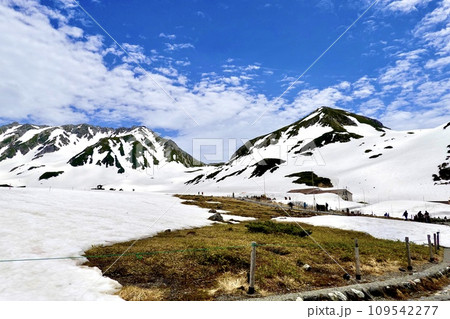 室堂平　青空に残雪が映える風景　富山県新川郡立山町芦峅寺 109542277