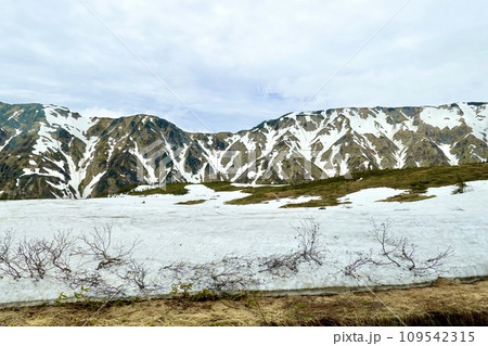 立山高原バスから見える雪山の風景　富山県新川郡立山町芦峅寺 109542315