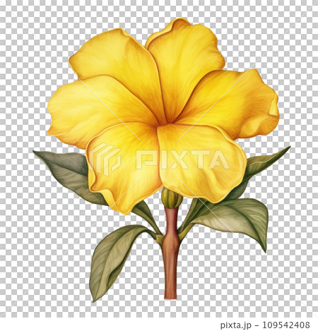 yellow flowers with green leaves 109542408