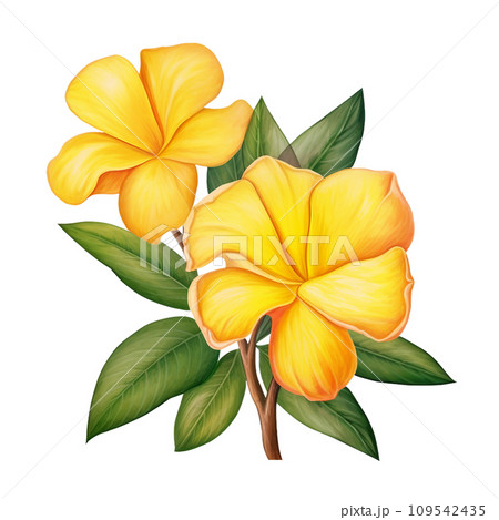yellow flowers with green leaves 109542435