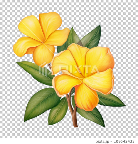 yellow flowers with green leaves 109542435