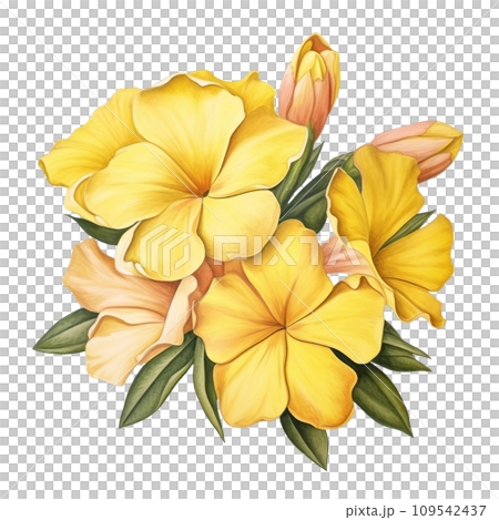 yellow flowers of yellow and green leaves yellow flowers of yellow and green leaves 109542437