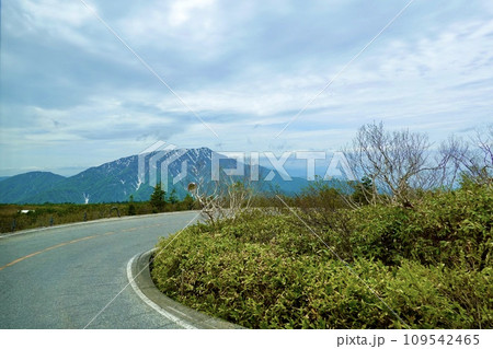 立山高原バスから見えるの立山有料道路がカーブする風景　富山県新川郡立山町芦峅寺 109542465
