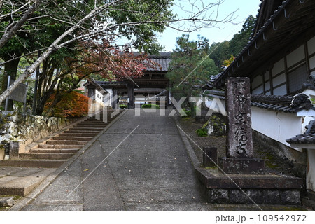 【但馬の小京都】 出石・城下町　宗鏡寺 109542972