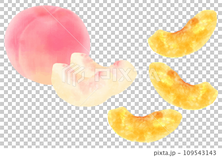 ドライフルーツ　桃 109543143