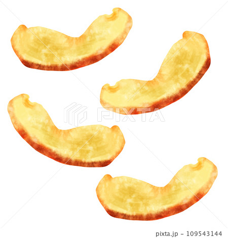 ドライフルーツ　りんご 109543144