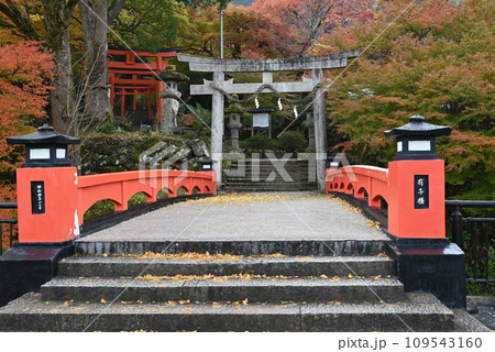 【但馬の小京都】 出石・城下町　出石城跡 109543160