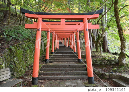 【但馬の小京都】 出石・城下町　出石城跡 109543165