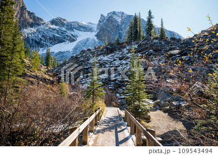 Moraine Lake Rockpile Trail in autumn sunny day morning. Beautiful snow-capped mountains scenery of Banff National Park, Canadian Rockies, Alberta, Canada. 109543494