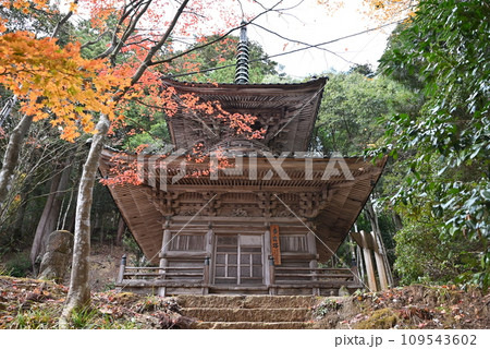 【兵庫・城崎温泉】 多宝塔 【兵庫・城崎温泉】 多宝塔 109543602