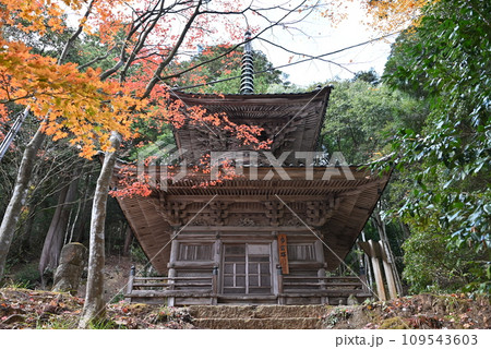 【兵庫・城崎温泉】 多宝塔 109543603