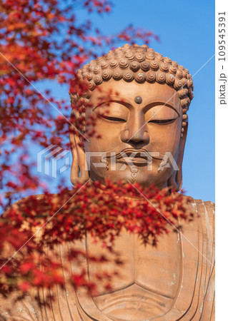 秋の聚楽園公園、聚楽園大仏〈愛知県東海市〉 109545391