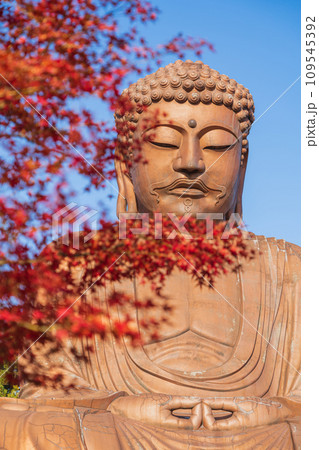 秋の聚楽園公園、聚楽園大仏〈愛知県東海市〉 109545392