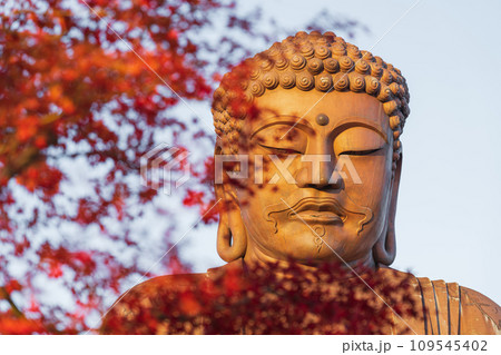 秋の聚楽園公園、聚楽園大仏〈愛知県東海市〉 109545402