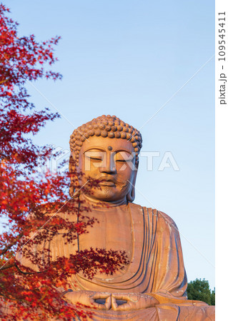 秋の聚楽園公園、聚楽園大仏〈愛知県東海市〉 秋の聚楽園公園、聚楽園大仏〈愛知県東海市〉 109545411