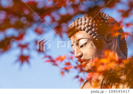 秋の聚楽園公園、聚楽園大仏〈愛知県東海市〉 109545417