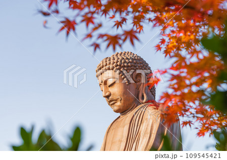 秋の聚楽園公園、聚楽園大仏〈愛知県東海市〉 秋の聚楽園公園、聚楽園大仏〈愛知県東海市〉 109545421