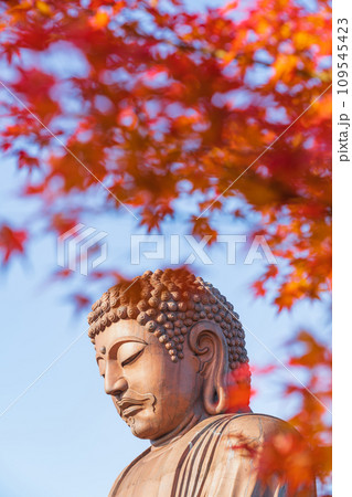 秋の聚楽園公園、聚楽園大仏〈愛知県東海市〉 秋の聚楽園公園、聚楽園大仏〈愛知県東海市〉 109545423
