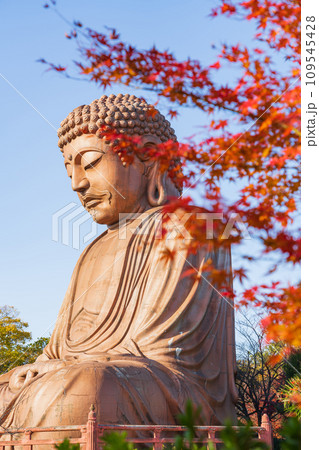 秋の聚楽園公園、聚楽園大仏〈愛知県東海市〉 109545428