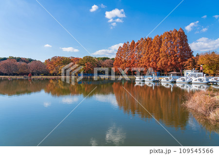 秋の庄内緑地公園〈愛知県名古屋市〉 109545566