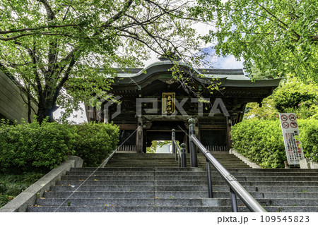 東京大仏　乗蓮寺　山門　東京都板橋区 109545823