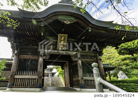 東京大仏　乗蓮寺　山門　東京都板橋区 109545824