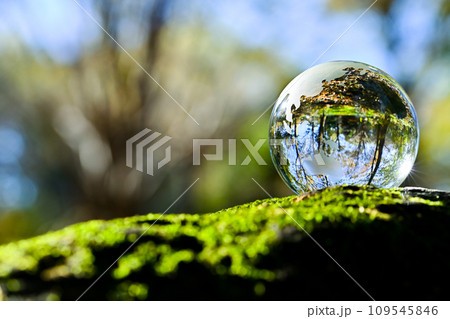 地球を大事に 109545846