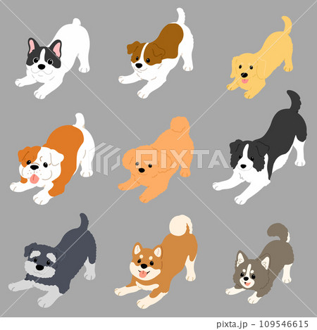 遊びに誘うシンプルで可愛い犬のイラストセット　主線なし 109546615