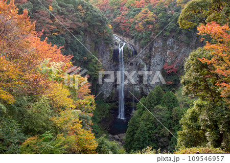 紅葉と富貴野の滝 紅葉と富貴野の滝 109546957