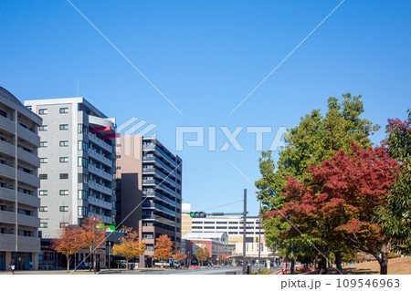 紅葉する大分いこいの道と街並み 紅葉する大分いこいの道と街並み 109546963