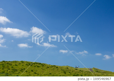 大観峰の丘陵地 109546967