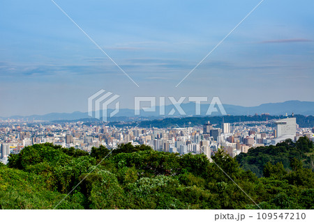 大分市街地と別府湾 109547210