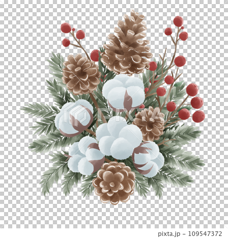 Watercolor Christmas Cotton pine cone holly Bouquet hand drawn illustration 109547372