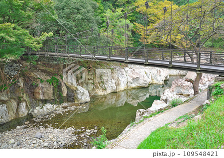 【猿飛千壺峡】 大分県中津市山国町草本 【猿飛千壺峡】 大分県中津市山国町草本 109548421