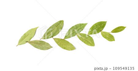 Dry Bay Leaves, Laurel Leaf, Natural Spicy Bayleaf, Fragrant Ingredient, Aromatic Spice 109549135