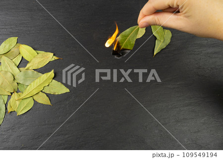 Dry Bay Leaves, Laurel Leaf, Natural Spicy Bayleaf, Fragrant Ingredient, Aromatic Spice 109549194