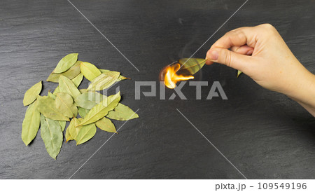 Dry Bay Leaves, Laurel Leaf, Natural Spicy Bayleaf, Fragrant Ingredient, Aromatic Spice 109549196