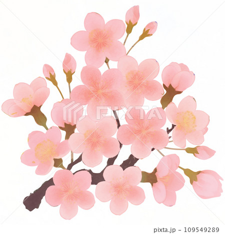 シンプルな満開の桜のイラスト シンプルな満開の桜のイラスト 109549289