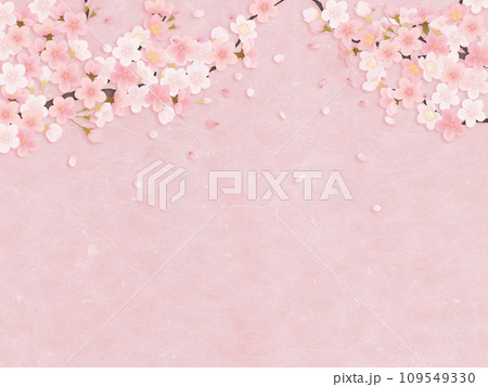 シンプルな満開の桜のイラスト 109549330