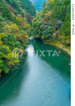 奥多摩の大自然 奥多摩 多摩川 奥多摩の大自然 奥多摩 多摩川 109549472